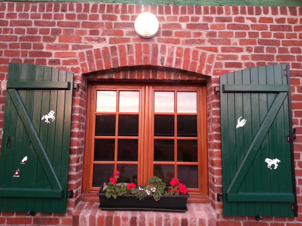 Gite De La Ferme Des Crins Blancs Hazebrouck Quarto foto